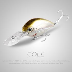 Bionic Plastic Lure 65mm Diving Lure (Option: E)